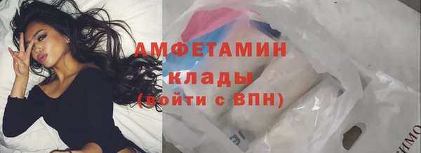 амф Алексин