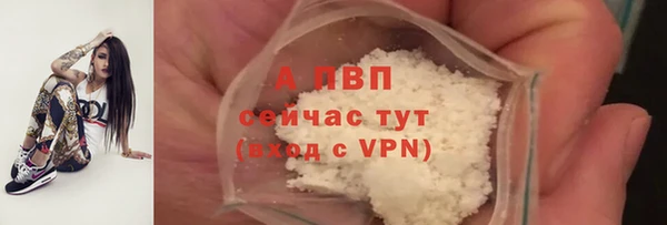 амф Алексин