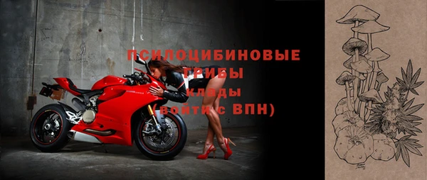 амф Алексин